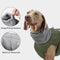 Chaqueta reflectante de perro caliente de cuello alto impermeable