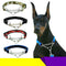 Collar de perro de la cadena deslizante de nylon multicolor