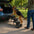 Viaje Portable plegable 4 pasos Las escaleras para perros sin deslizamiento