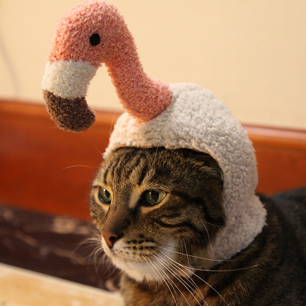 Sombrero para mascota disfraz de Halloween de murciélago unicornio flamenco