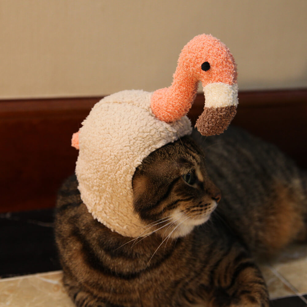 Sombrero para mascota disfraz de Halloween de murciélago unicornio flamenco