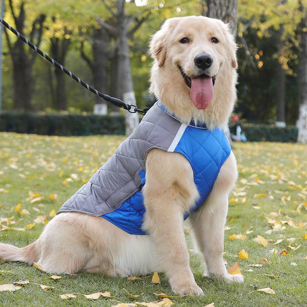 Adjustable Quilted Dog Jacket - Warm and Safe for Winter Walks