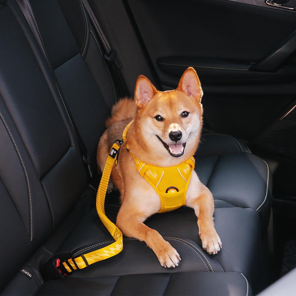 Buffer ajustable Cool Dog Accesorios cinturón de seguridad de coche