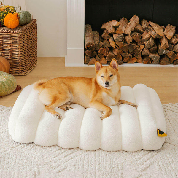 Camas de perros planas cremosas grandes y lavables - pastel de queso