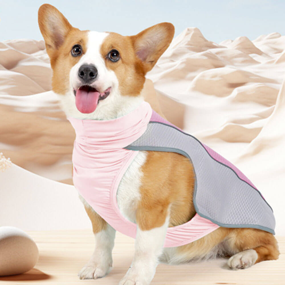 Pet Clothes Dog Summer Heat Protection - lce Cool Clothes for Dogs