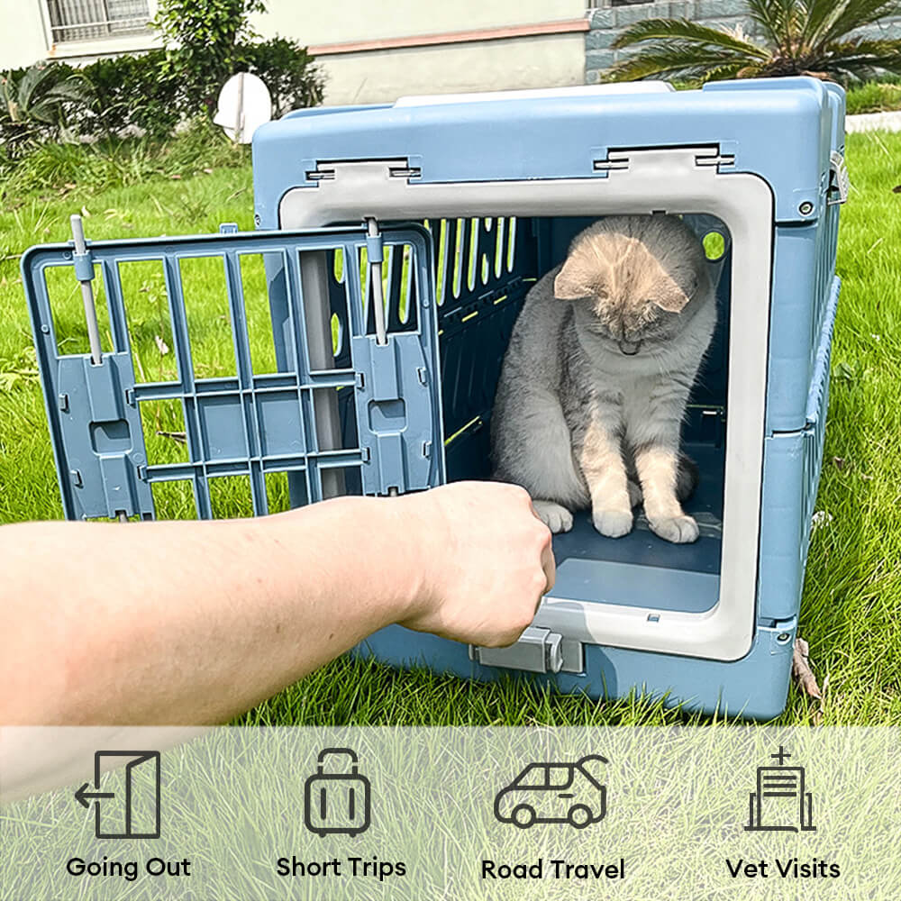 Collapsible Breathable Hard Pet Carrier for Small Dogs and Cats