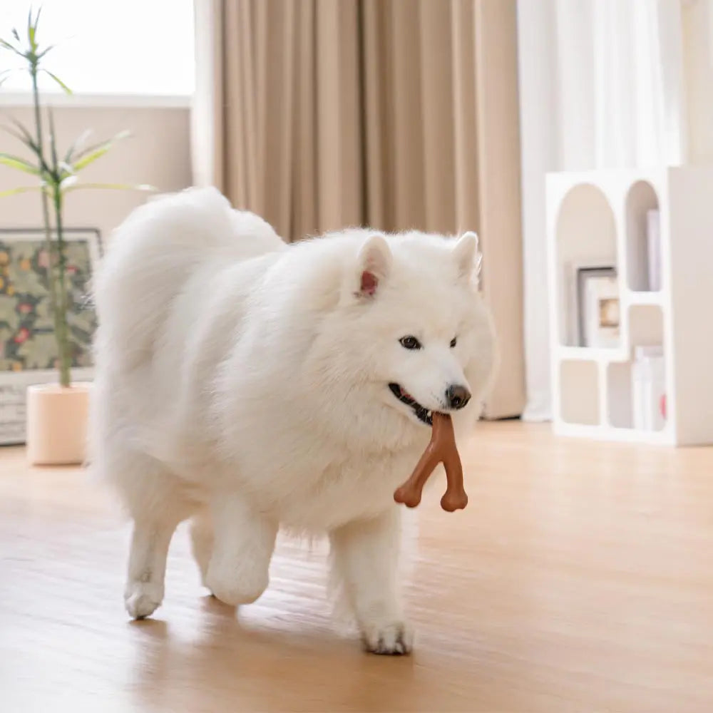 Bones de dentición para perros Chew Toy - con sabor a tocino