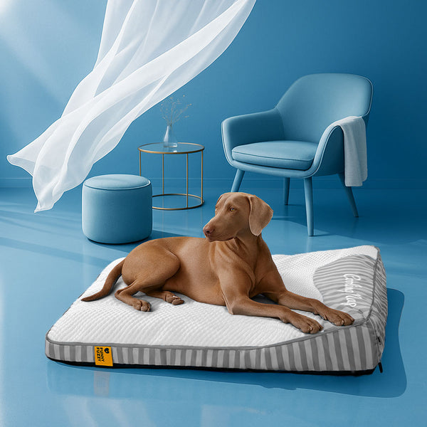 Cama de perros ortopédico de rectángulo lavable de enfriamiento extra grande - siesta de enfriamiento