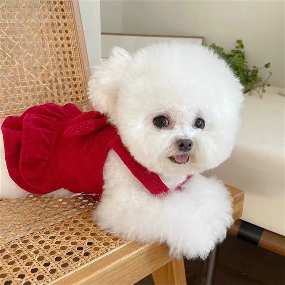 Velvet Red Bow Dog Dress – Perfect for Special Occasions!