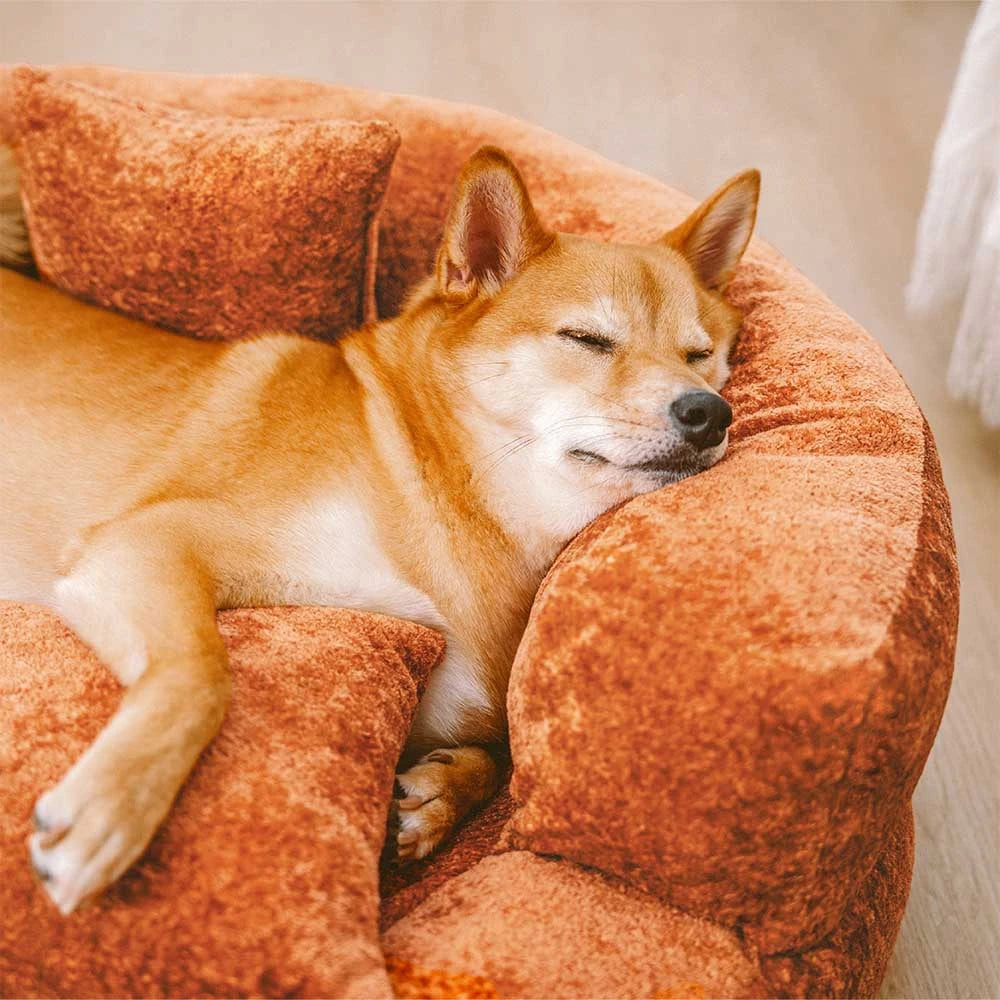 Luxe Diamond Velvet extraíble cama ortopédica para perros con almohada - Dreamnest