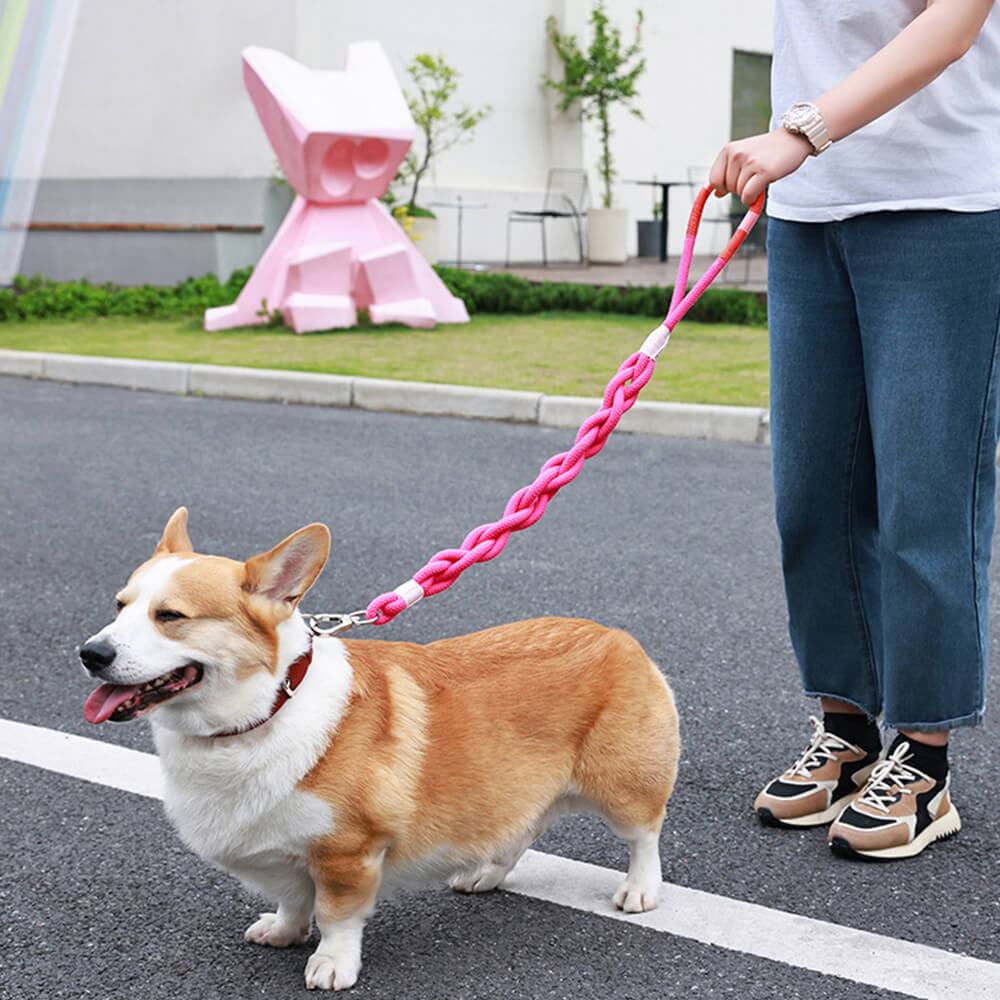 Cuerda de tracción para perros tejida a mano: gruesa y duradera para paseos cómodos