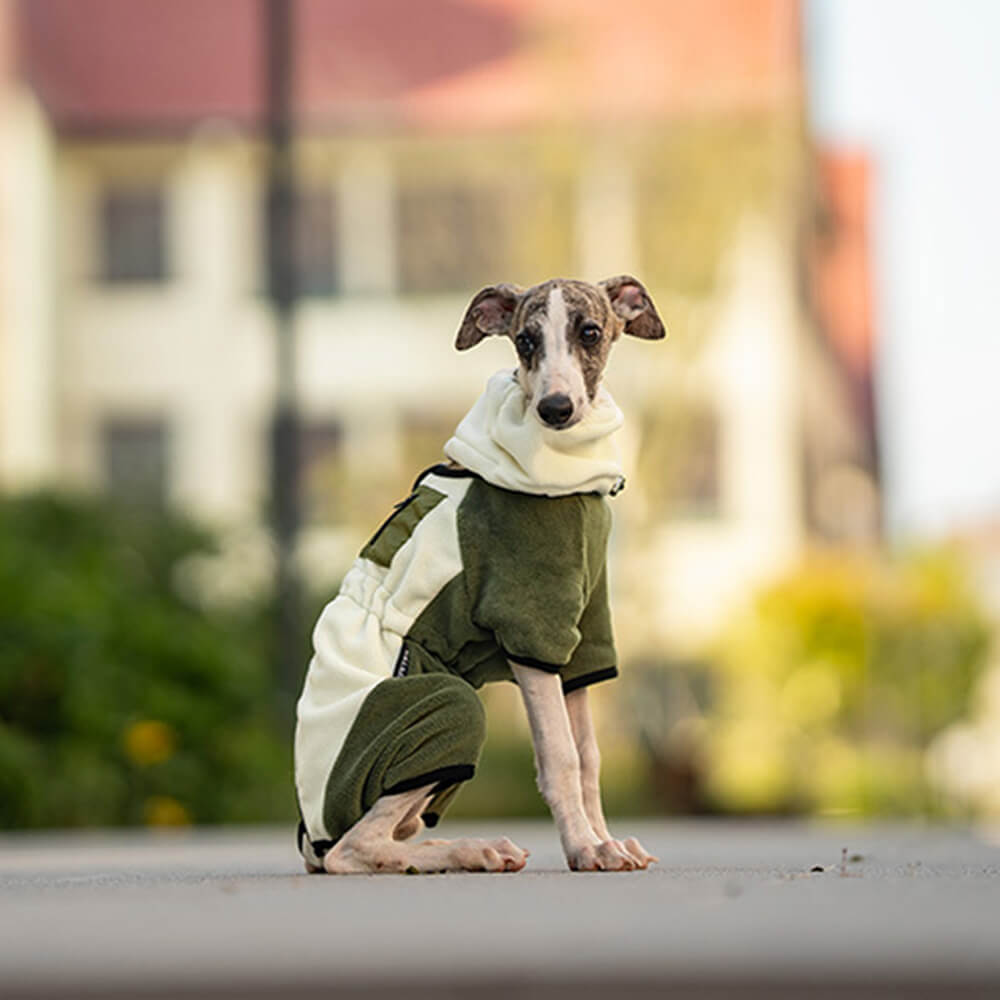 Full Coverage Polar Fleece Dog Onesie with Removable Collar