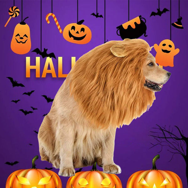 Disfraz de perros de Lion Mane: perfecto para Halloween y diversiones divertidas