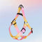 <tc>Color</tc>Arnés de pecho y cuerda de tracción para perros con gradiente de colores vibrantes - Diseño antidesgarro