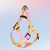 <tc>Color</tc>Arnés de pecho y cuerda de tracción para perros con gradiente de colores vibrantes - Diseño antidesgarro
