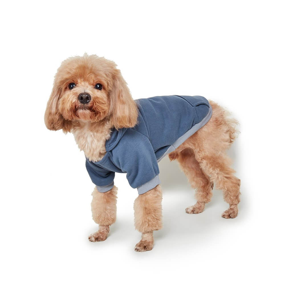 Cozy Solid Color Dog Hoodie – Available in Four Colors