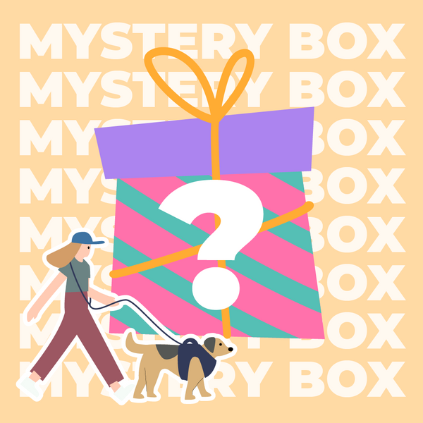 Kit de viaje seguro para perros dentro de 15 kg - $ 220 Valor Mystery Box