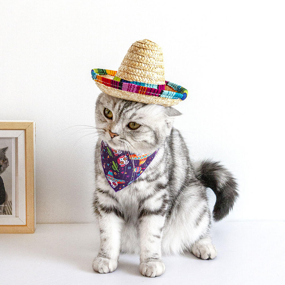 Set de disfraz de gato Fiesta - Sombrero y pañuelo para gatos y perros pequeños