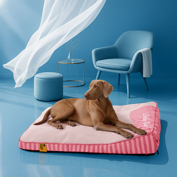 Cama de perros ortopédico de rectángulo lavable de enfriamiento extra grande - siesta de enfriamiento