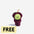 Plush Squeaky Dog Toys - Fruit