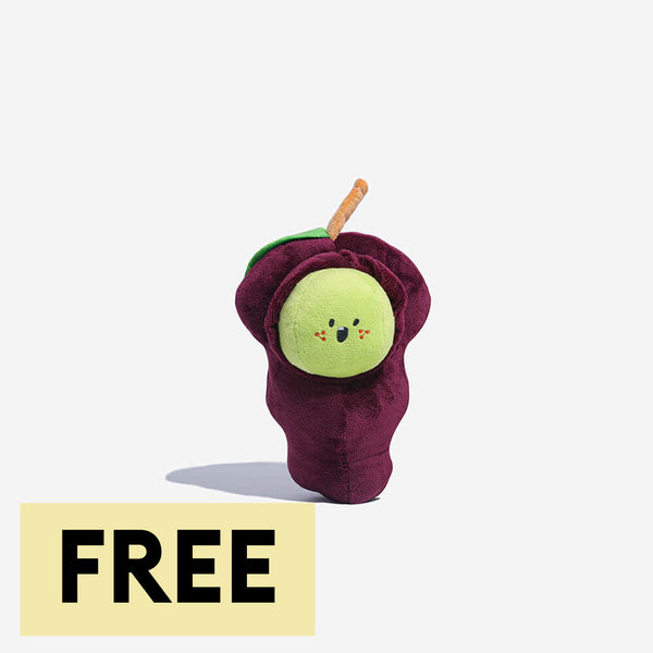 Plush Squeaky Dog Toys - Fruit