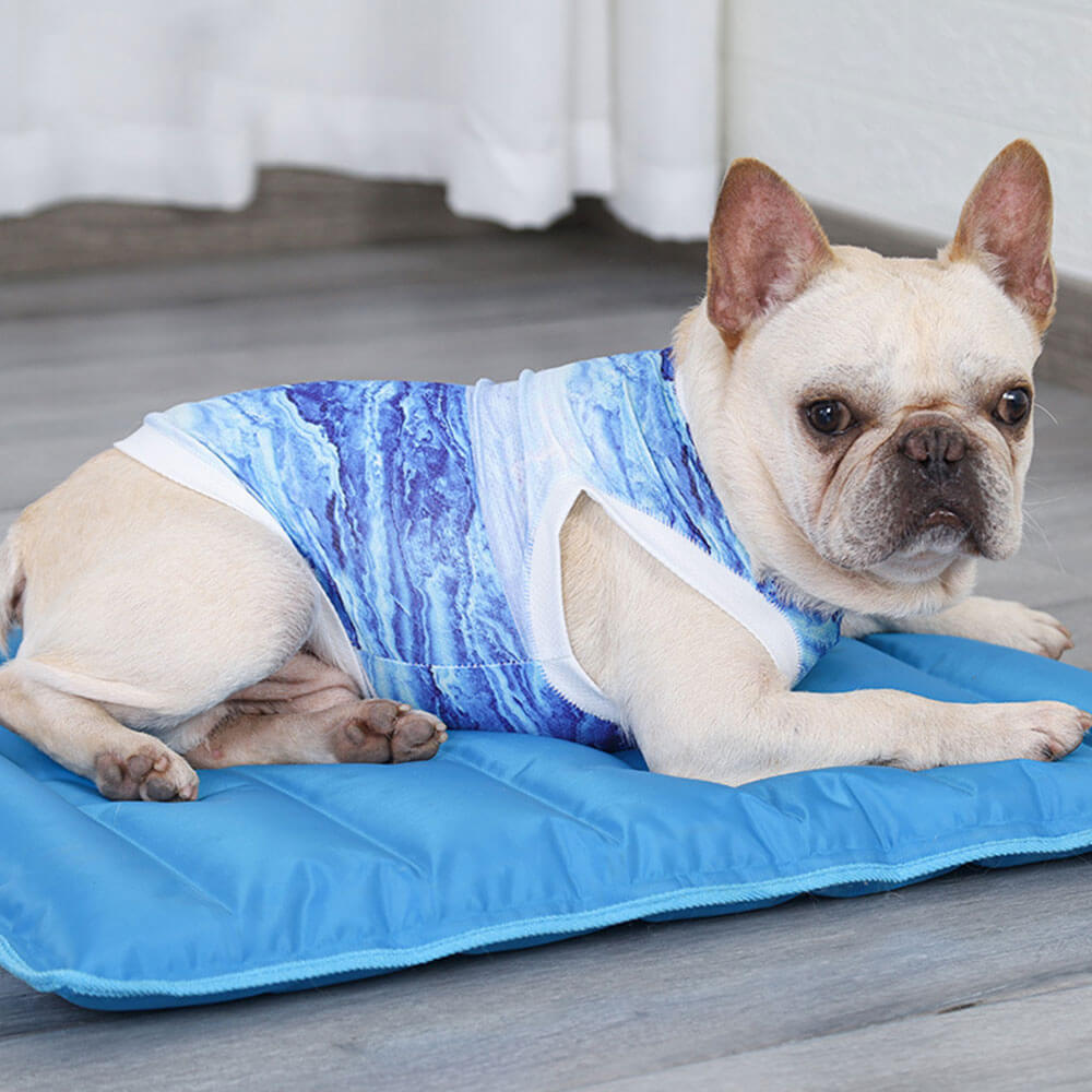 Ropa para mascotas con chaleco refrescante transpirable de verano