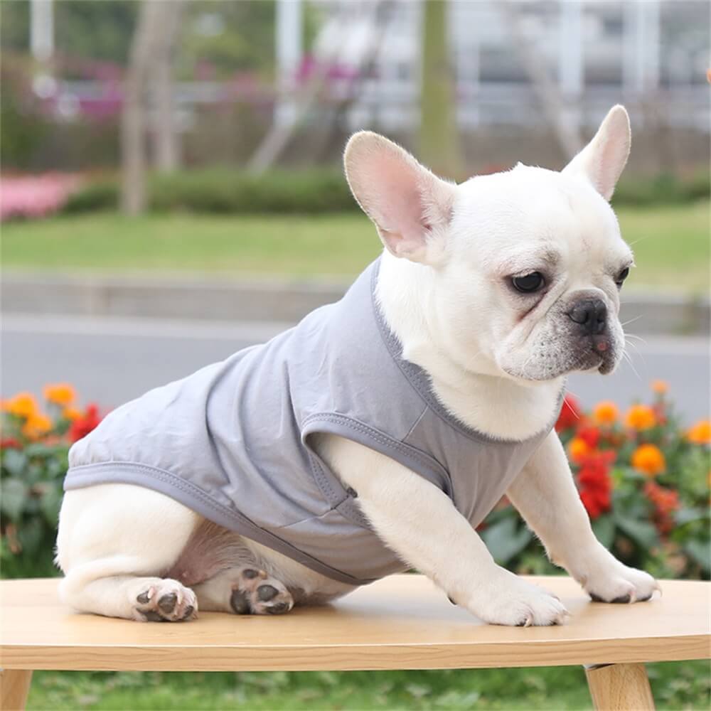 Cotton Solid Color Basic Vest Pet Clothing