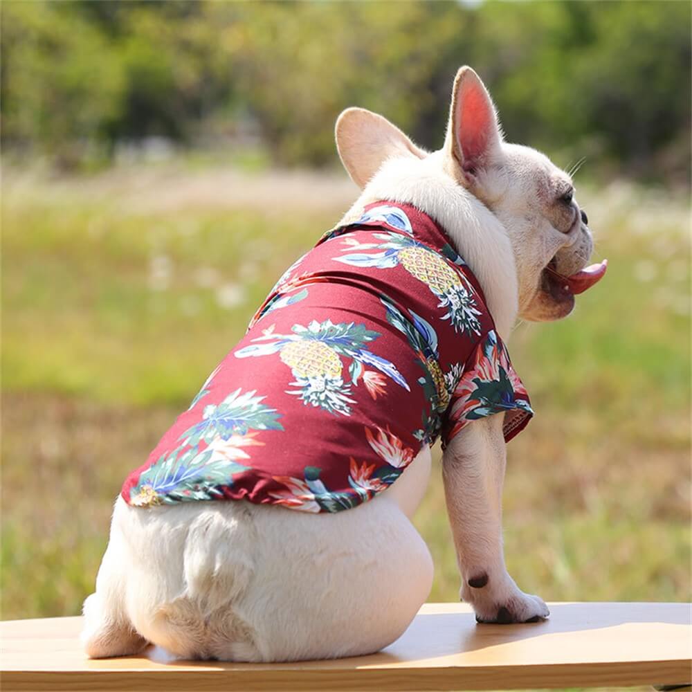 Camisa de piña para perros pequeños a medianos - Ropa ligera de verano hawaiana