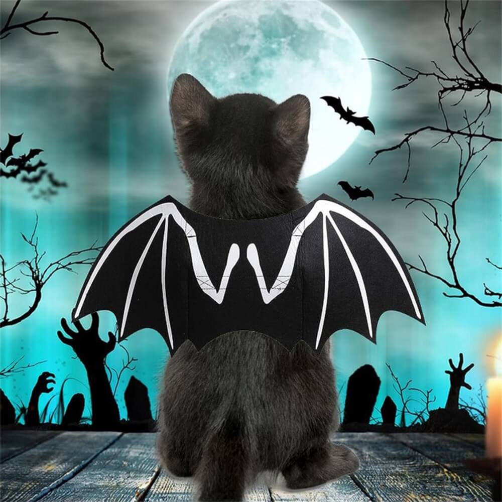 Disfraz de perro de Halloween con alas de murciélago y calavera luminosa | Accesorios para juegos de rol para mascotas