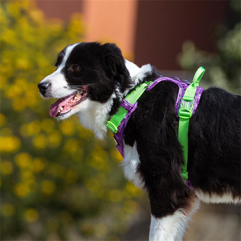 Camouflage Explosion-Proof Reflective Dog Harness with Navigation Light