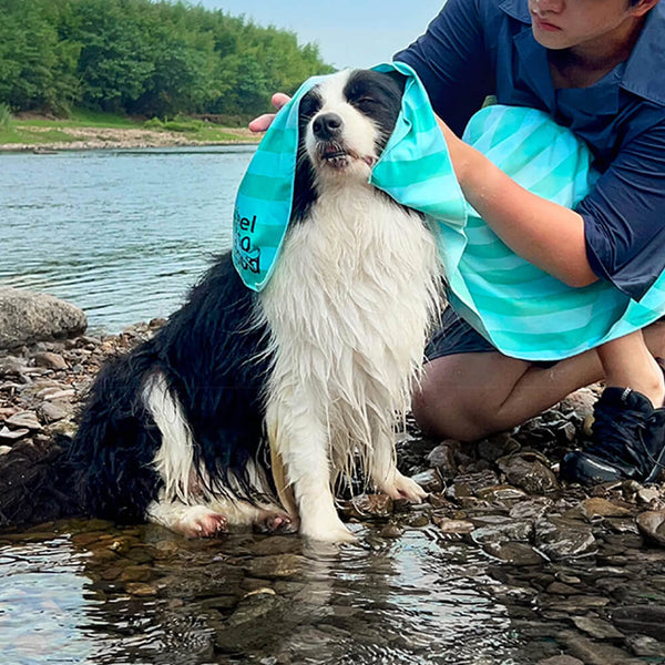 Manta de toalla para perros de viaje de color de viaje rápido ultra absorbente