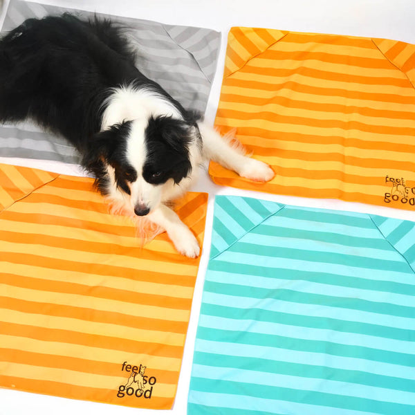 Manta de toalla para perros de viaje de color de viaje rápido ultra absorbente