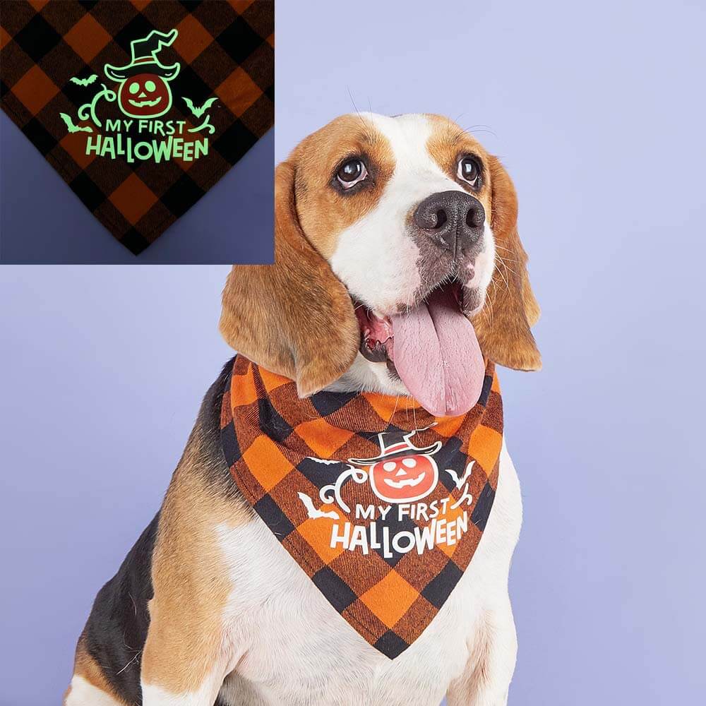 Luminous Pumpkin Skull Triangle Bandana for Pets | Festive & Glowing Dog Bib