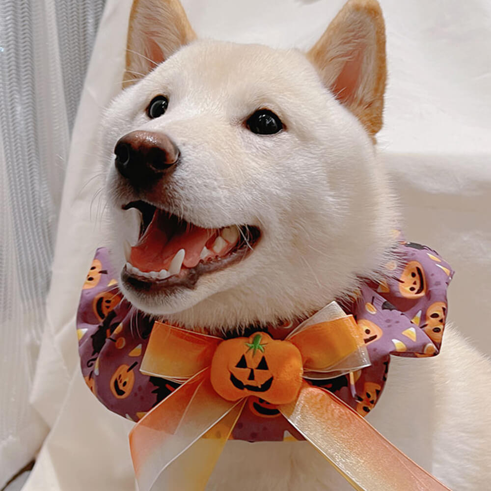 Pañuelo lindo del perro de Halloween con volantes de calabaza Pañuelo