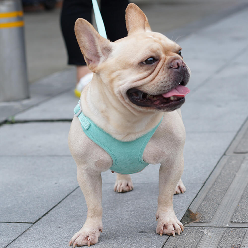 Correa para perro estilo chaleco y arnés para el pecho: comodidad y seguridad combinadas