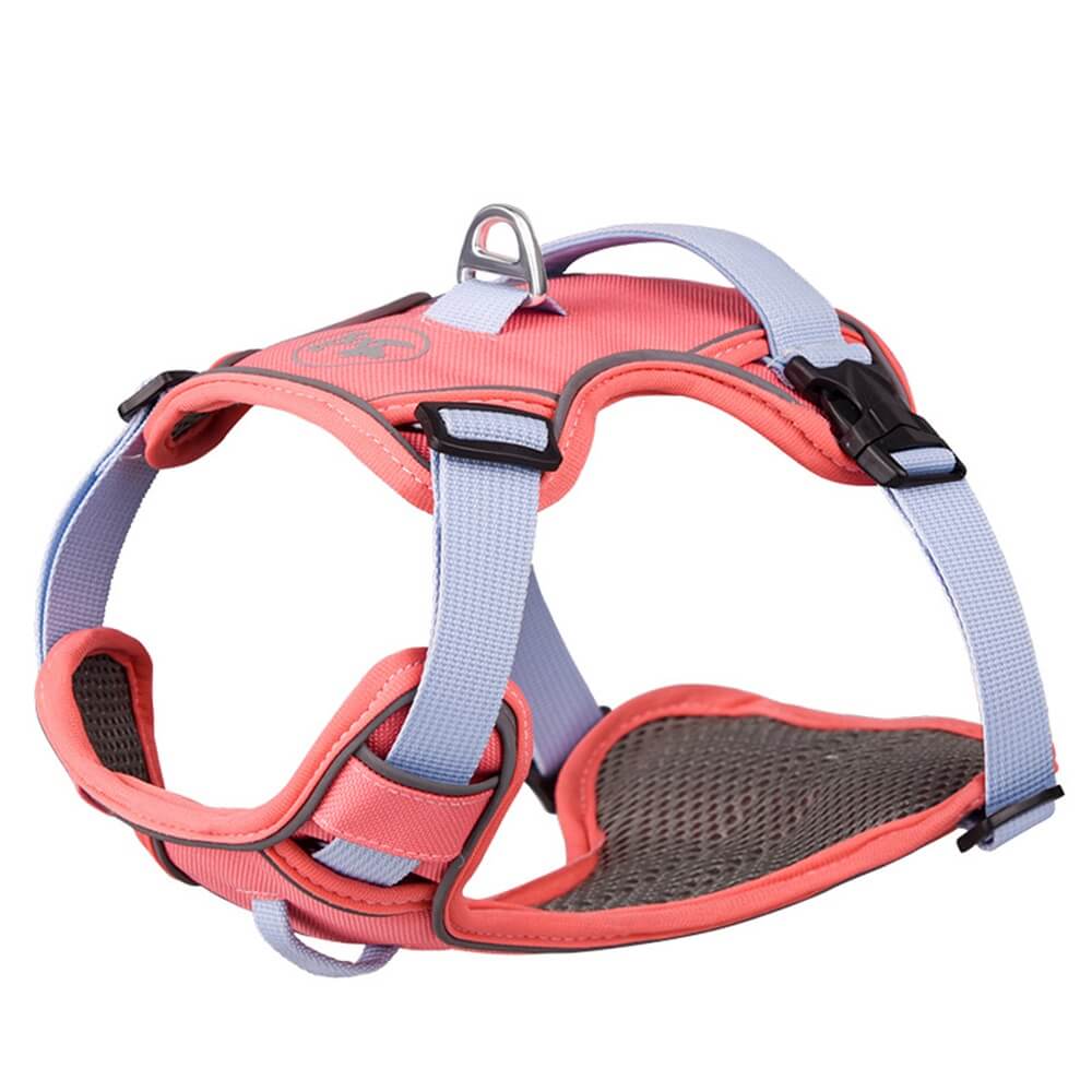 Contrast Color Explosion-Proof Dog Leash and Reflective Vest Harness