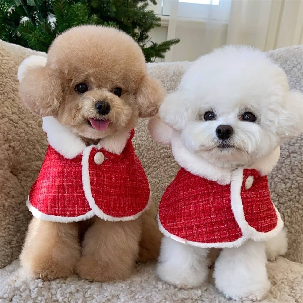 Christmas Bear Hooded Dog Cape – Festive and Adorable for the Holidays