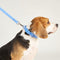 Collar ajustable de PVC resistente al agua y duradero para mascotas - Personalizable <tc>Color</tc>s