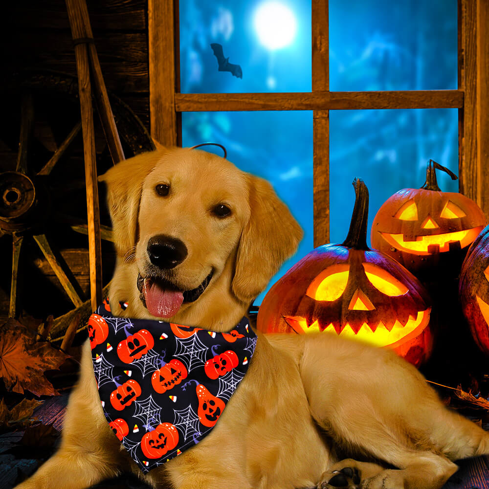 Bufanda triangular para mascotas de Halloween | Calavera, fantasma y calabaza Perro Gato Pañuelo