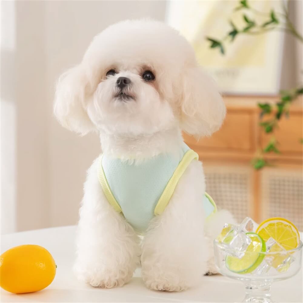 Chaleco con arnés para perros en colores pastel transpirable: cómodo y elegante para el uso diario