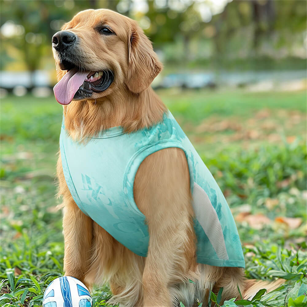 Chaleco refrescante de verano para perros grandes: ropa deportiva fina de seda helada, transpirable y ligera