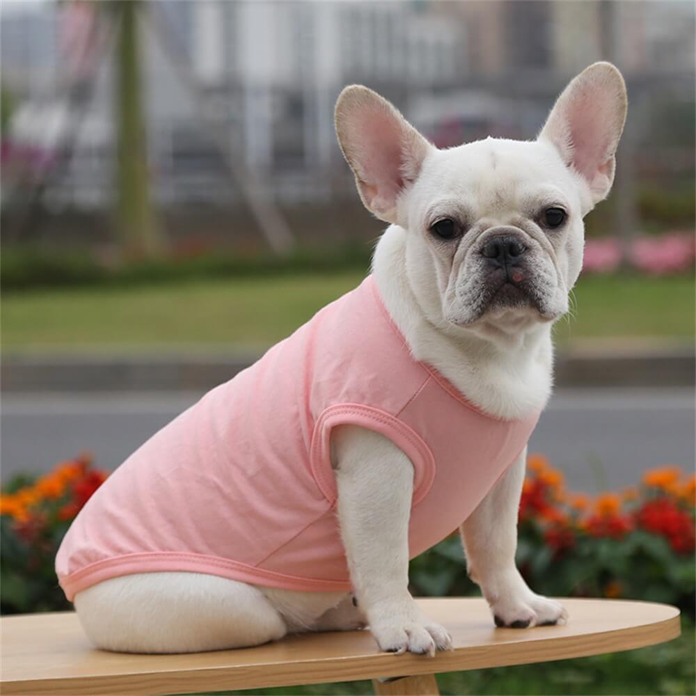 Cotton Solid Color Basic Vest Pet Clothing