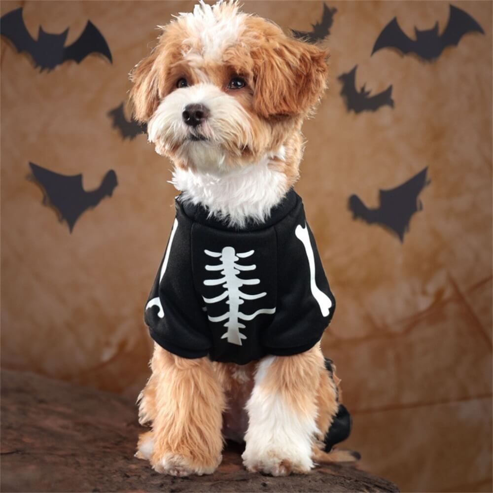 Glow-in-the-Dark Skeleton Dog Costume – Perfect for Halloween Night