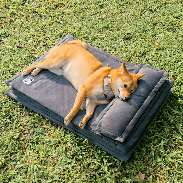 Anti-ansiedad con soporte de esponja cama para perros dormido profundo