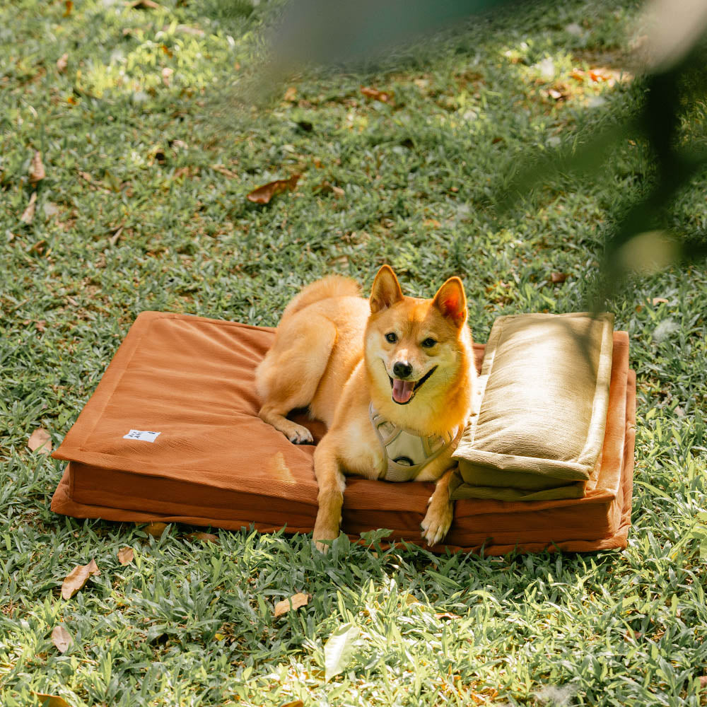 Anti-ansiedad con soporte de esponja cama para perros dormido profundo