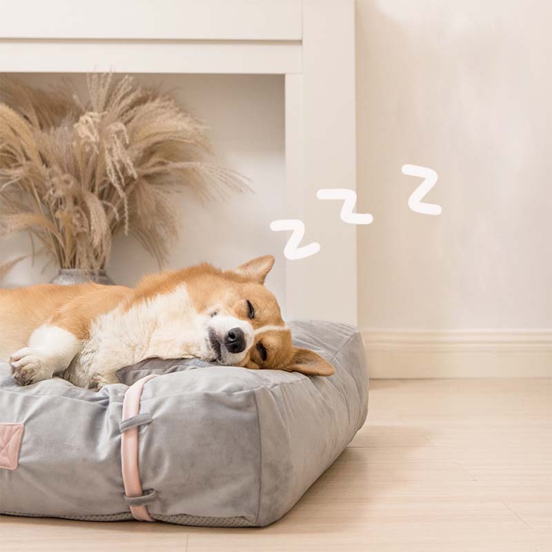 Almohada con pajarita, cama para perros acolchada de enfriamiento cuadrada de terciopelo de seda helada