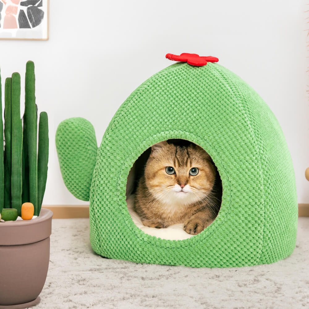 Cama para gatos cálida con forma de cactus