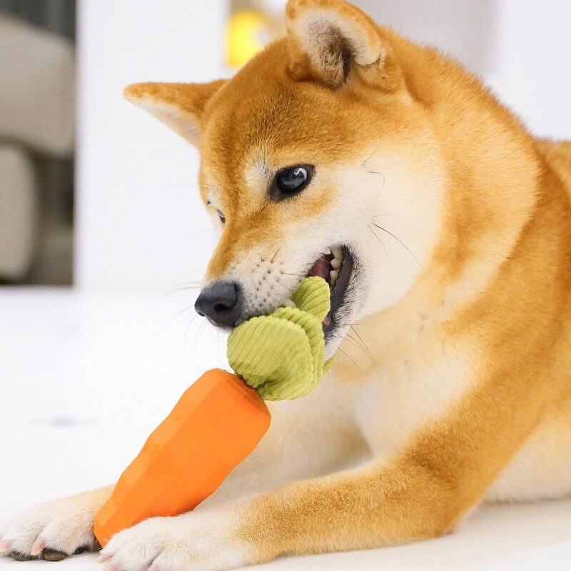 Juguete chirriante de zanahoria, juguete duradero para masticar para perros