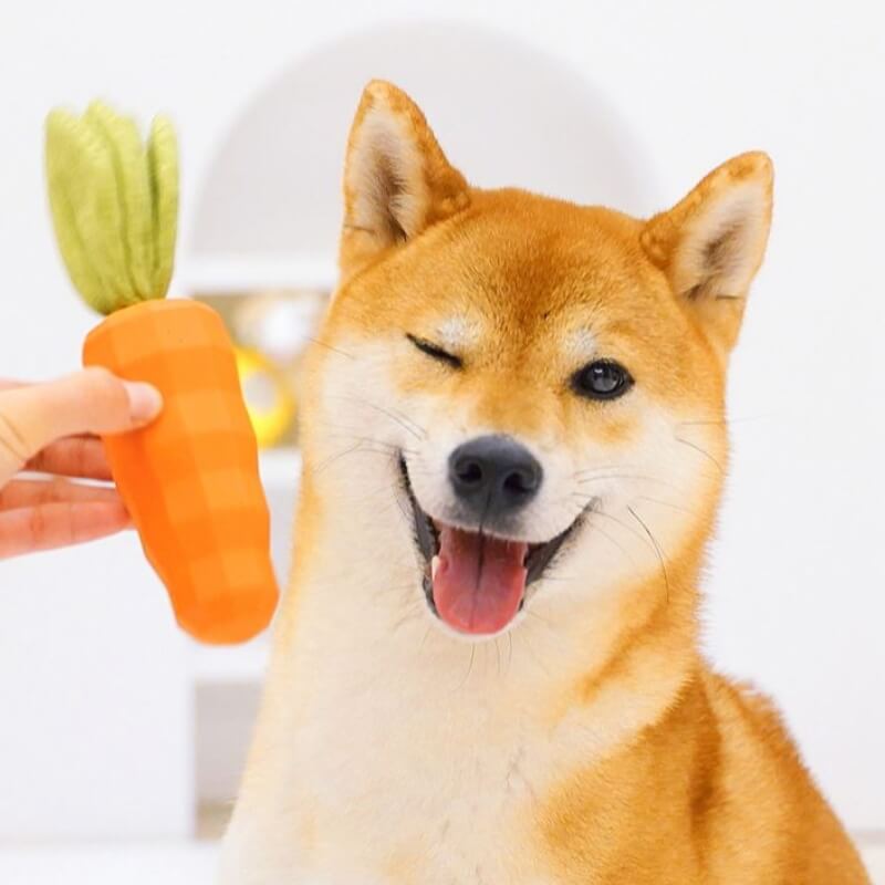 Juguete chirriante de zanahoria, juguete duradero para masticar para perros