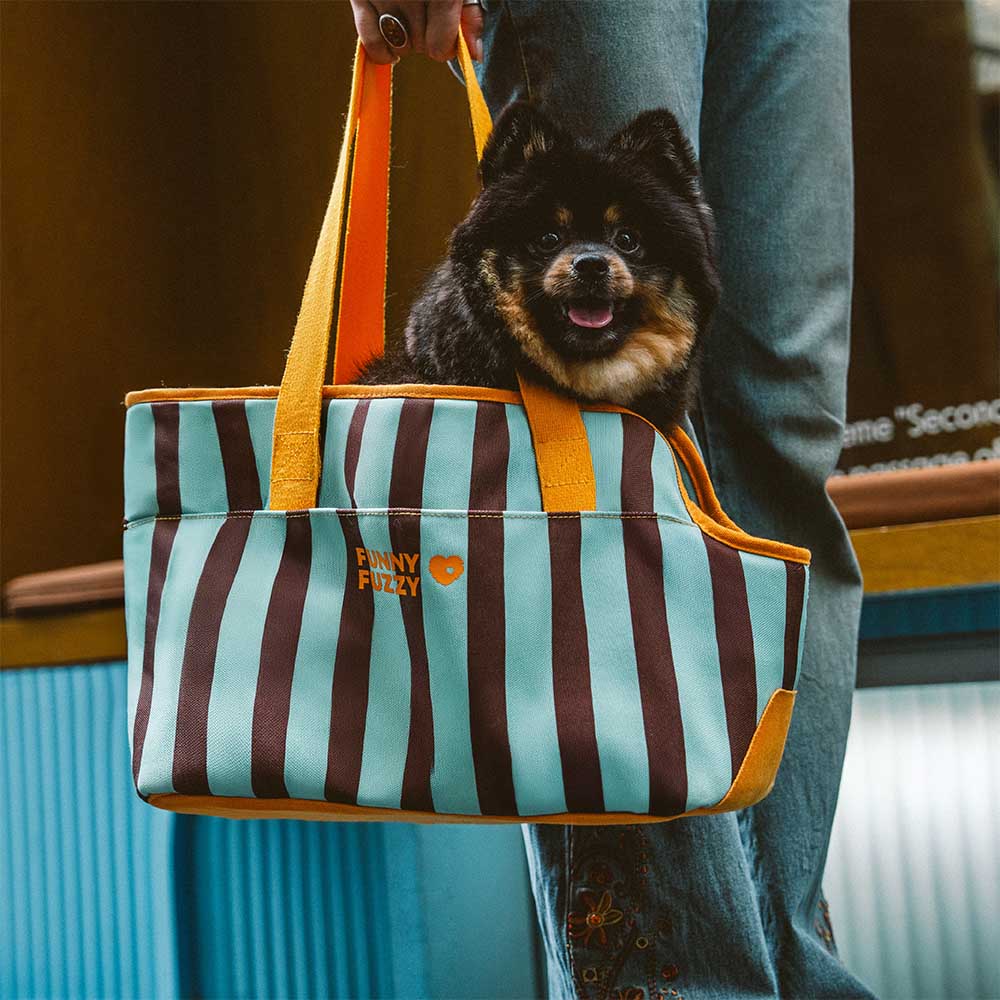Stripe Eco-friendly Waterproof Breathable Mesh Safe Pet Carrier - CityBreeze